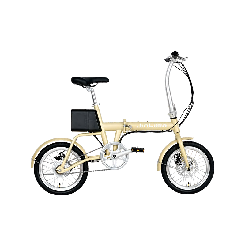 HYB-036 16 "Iron Frame Double Aluminium Rims LED Dashboard E-BIKE