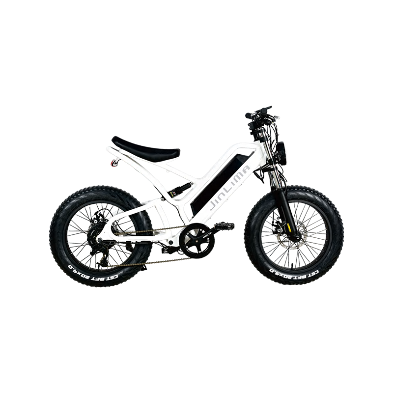 Hvad er de vigtigste typer e-cykler, der er tilgængelige på markedet?