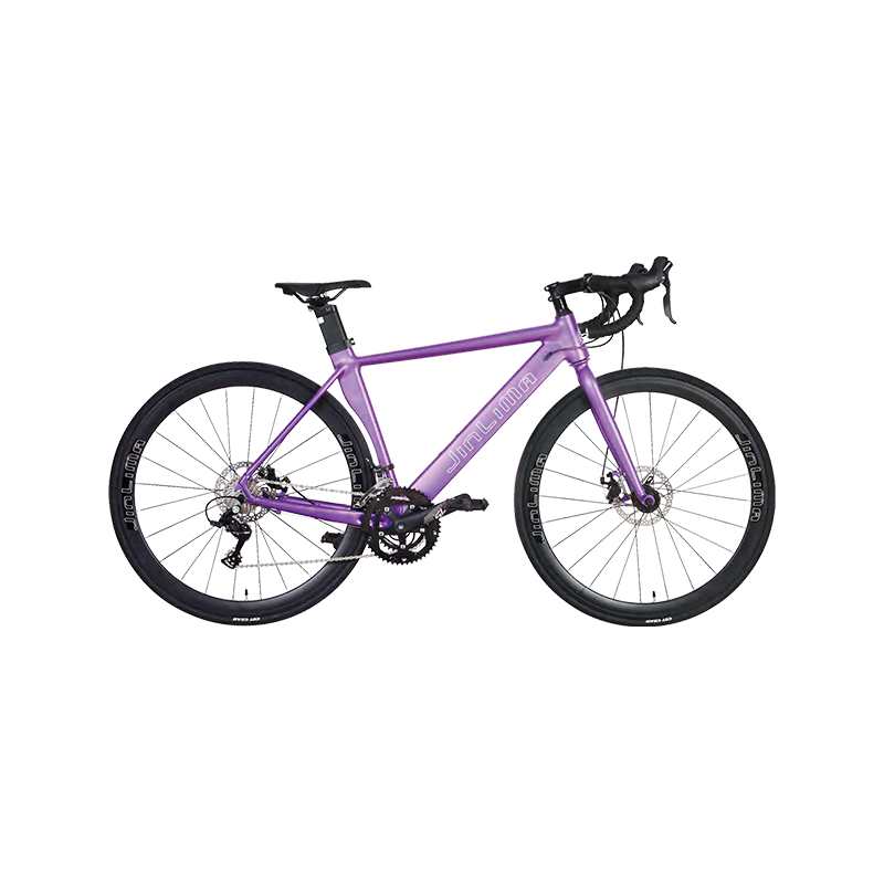 HYB-023 700C 16-Speed ​​Purple Aerodynamic Road Bike