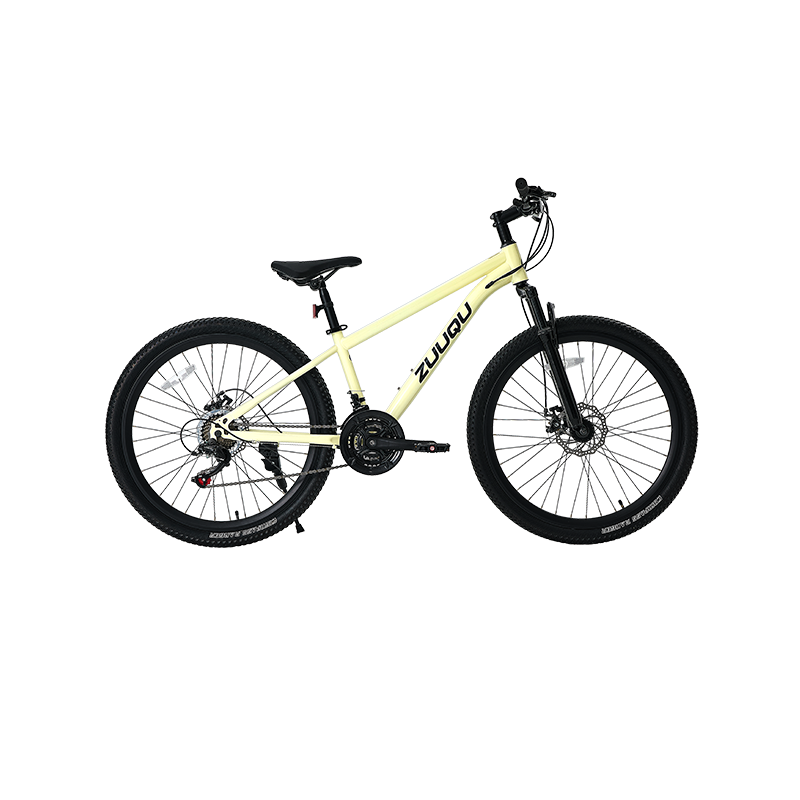 21 Speed ​​Disc Brake 26 "MTB